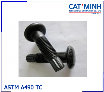 ASTM A490 TC Bolt