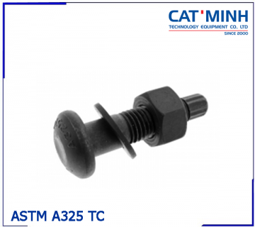 ASTM A325 TC Bolt