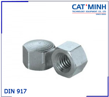 Hexagon cap nuts low DIN 917